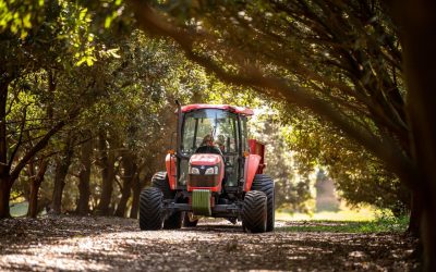 FUTURE PROOFING MACADAMIA FARMS