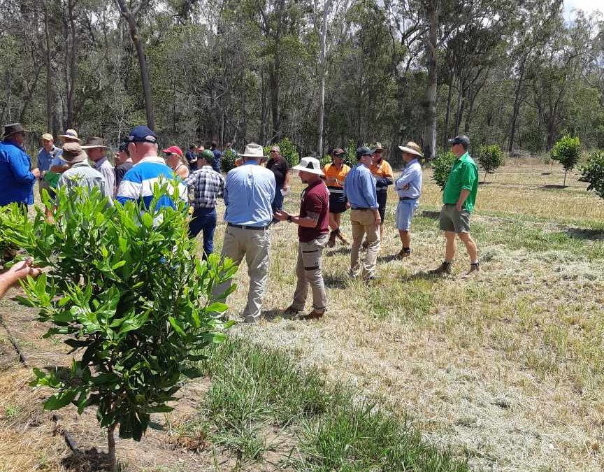 Bundy Farm Tour-Bucca