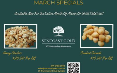 March 2025 Specials