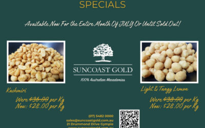 JULY SPECIALS 2025