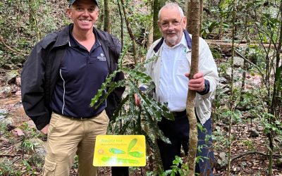 40 Years of Grower-Owned Excellence in Gympie