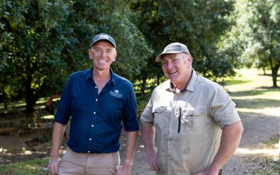 SHOWCASING SUNCOAST GOLD WITH BUSINESS CHAMBER QUEENSLAND
